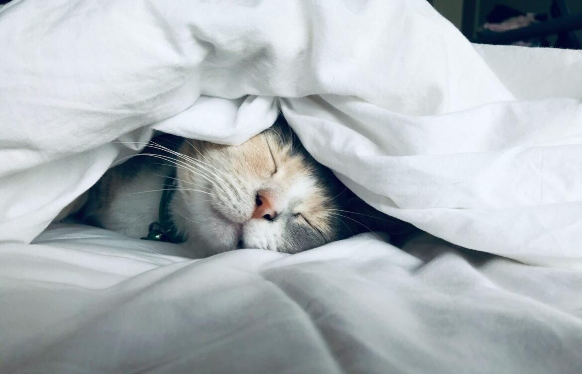 How Sleep Affects Weight Loss and Mental Well-being
